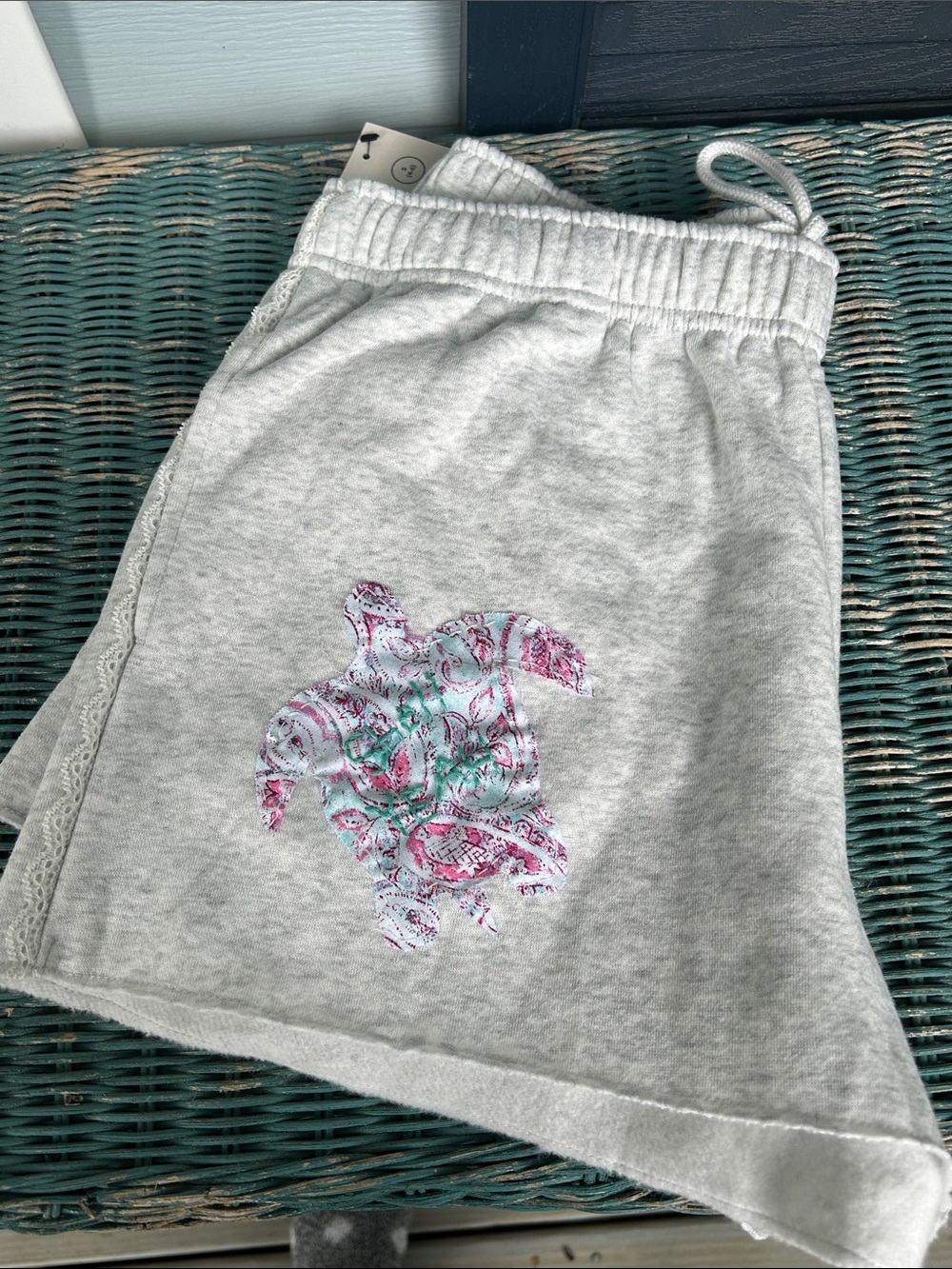 No Boundaries- Gray Sweatshirt Shorts with Pink & Teal Turtle Graphic